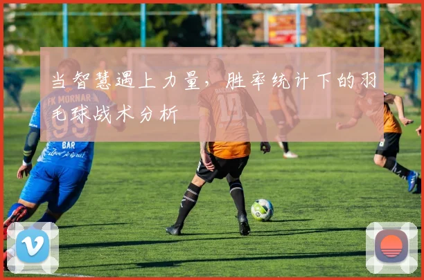当智慧遇上力量,胜率统计下的羽毛球战术分析
