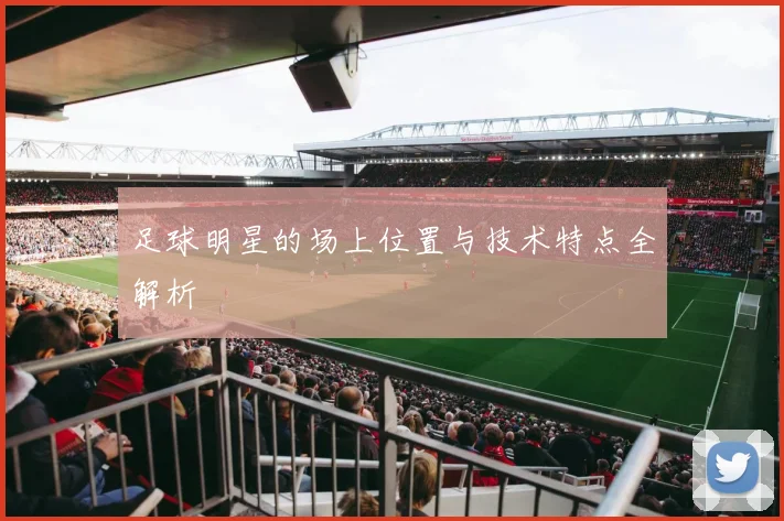 足球明星的场上位置与技术特点全解析