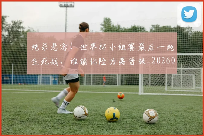 绝杀悬念！世界杯小组赛最后一轮生死战，谁能化险为夷晋级_20260803142837